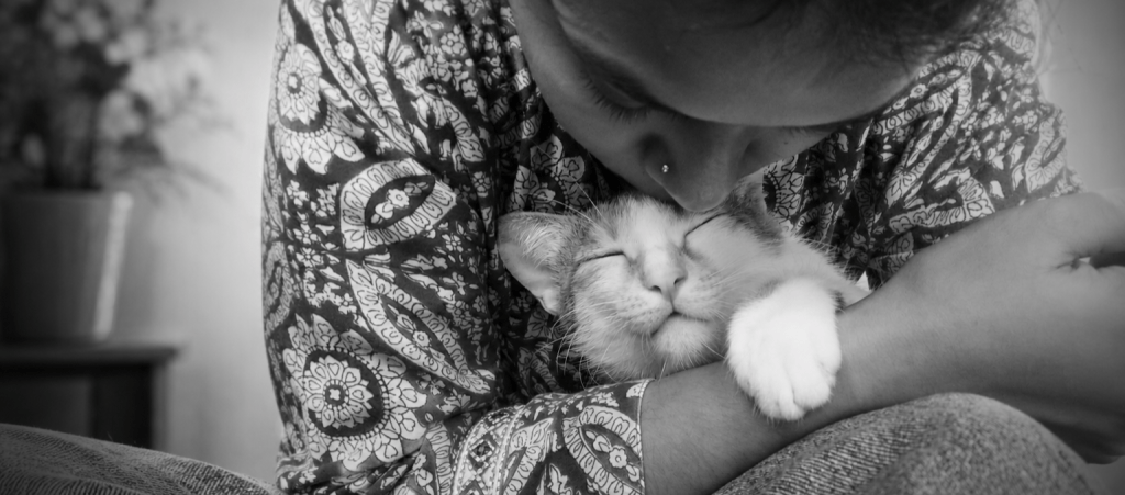 Cat and Owner Hug each other
